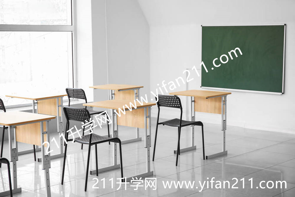 大新中心小学怎么样